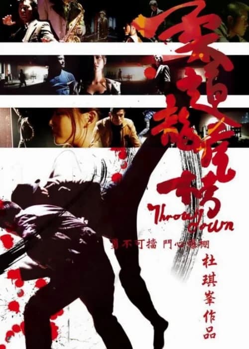 Poster phim Nhu Đạo Long Hổ Bang (2004)