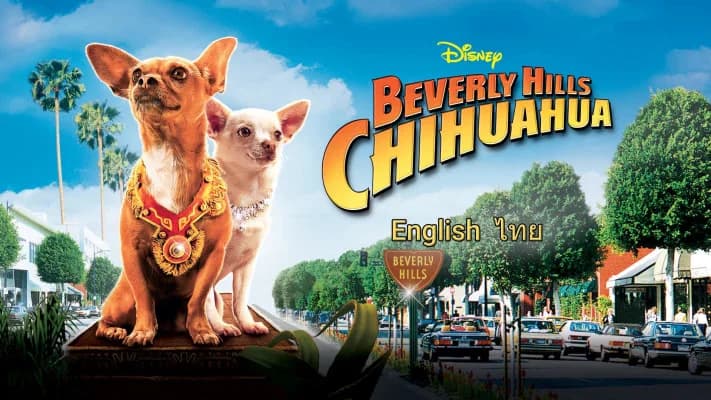 Backdrop phim Những Chú Chó Chihuahua