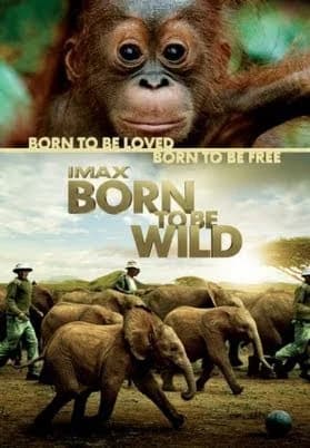 Poster phim Những Loài Vật Mồ Côi (2011)