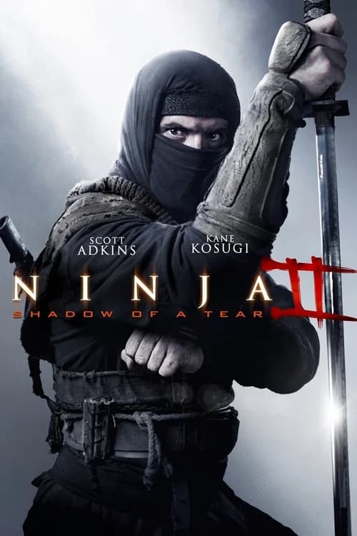 Poster phim Ninja Báo Thù (2013)