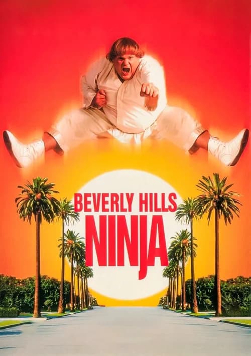 Poster phim Ninja Béo Ù (1997)