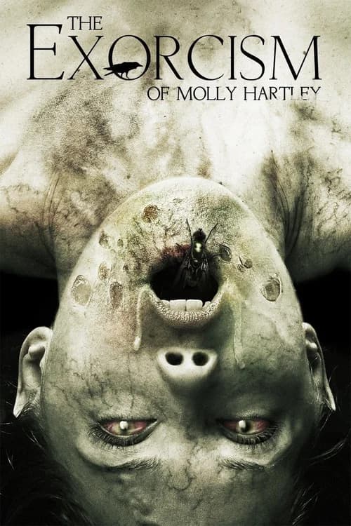 Poster phim Nỗi Ám Ảnh Của Molly (2015)