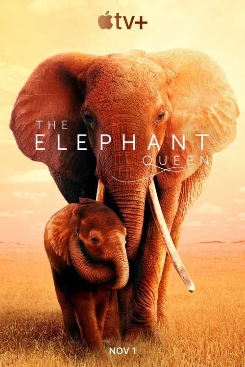 Poster phim Nữ Hoàng Voi (2019)