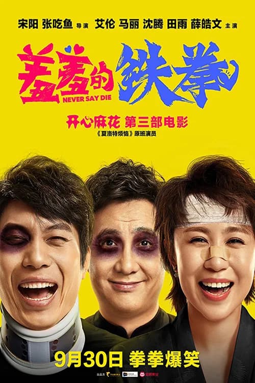 Poster phim Oan Gia Đổi Mệnh (2017)