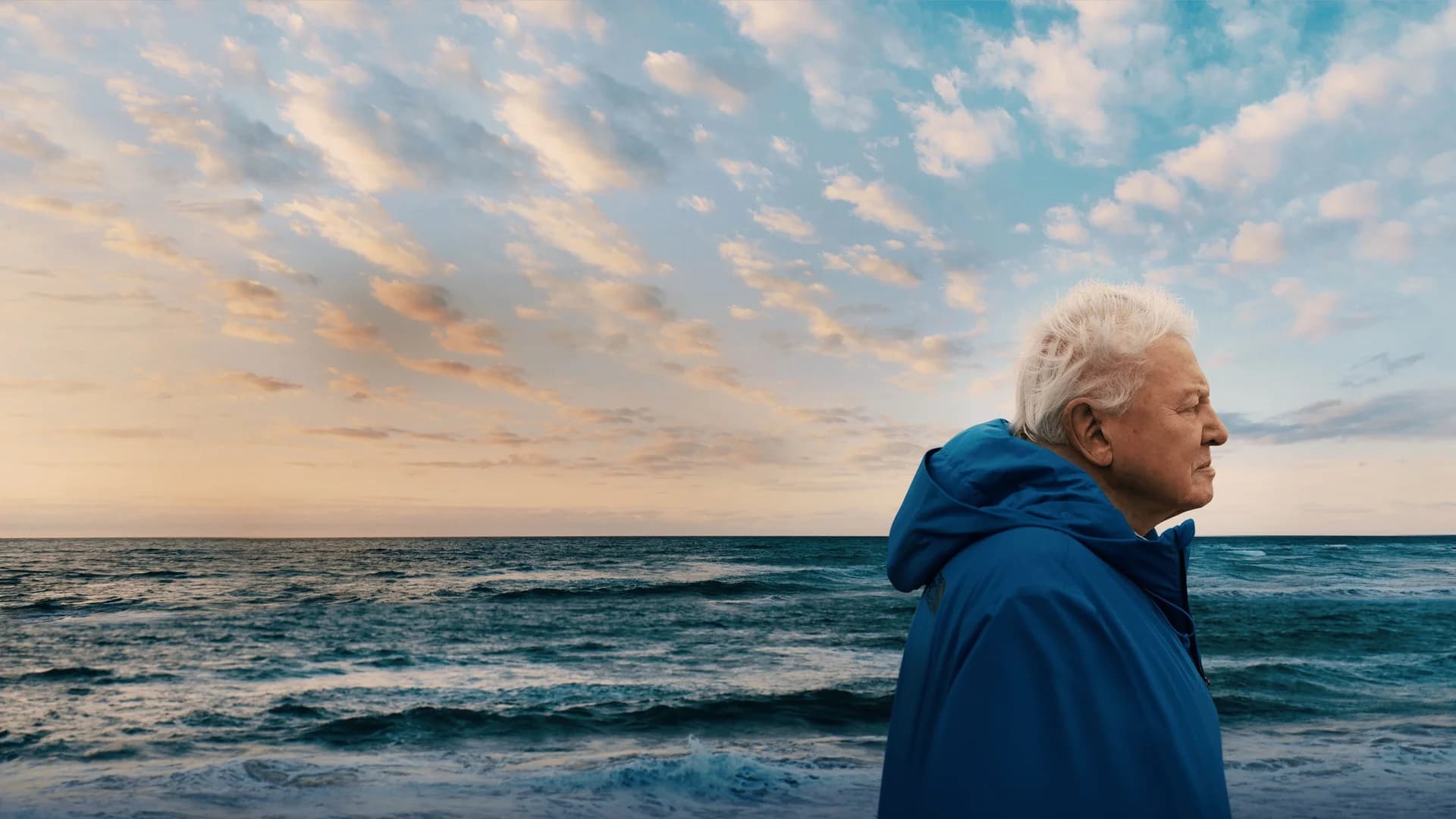Backdrop phim Ocean with David Attenborough