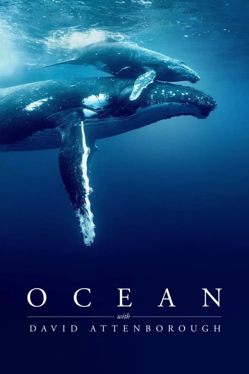 Poster phim Ocean with David Attenborough (2025)