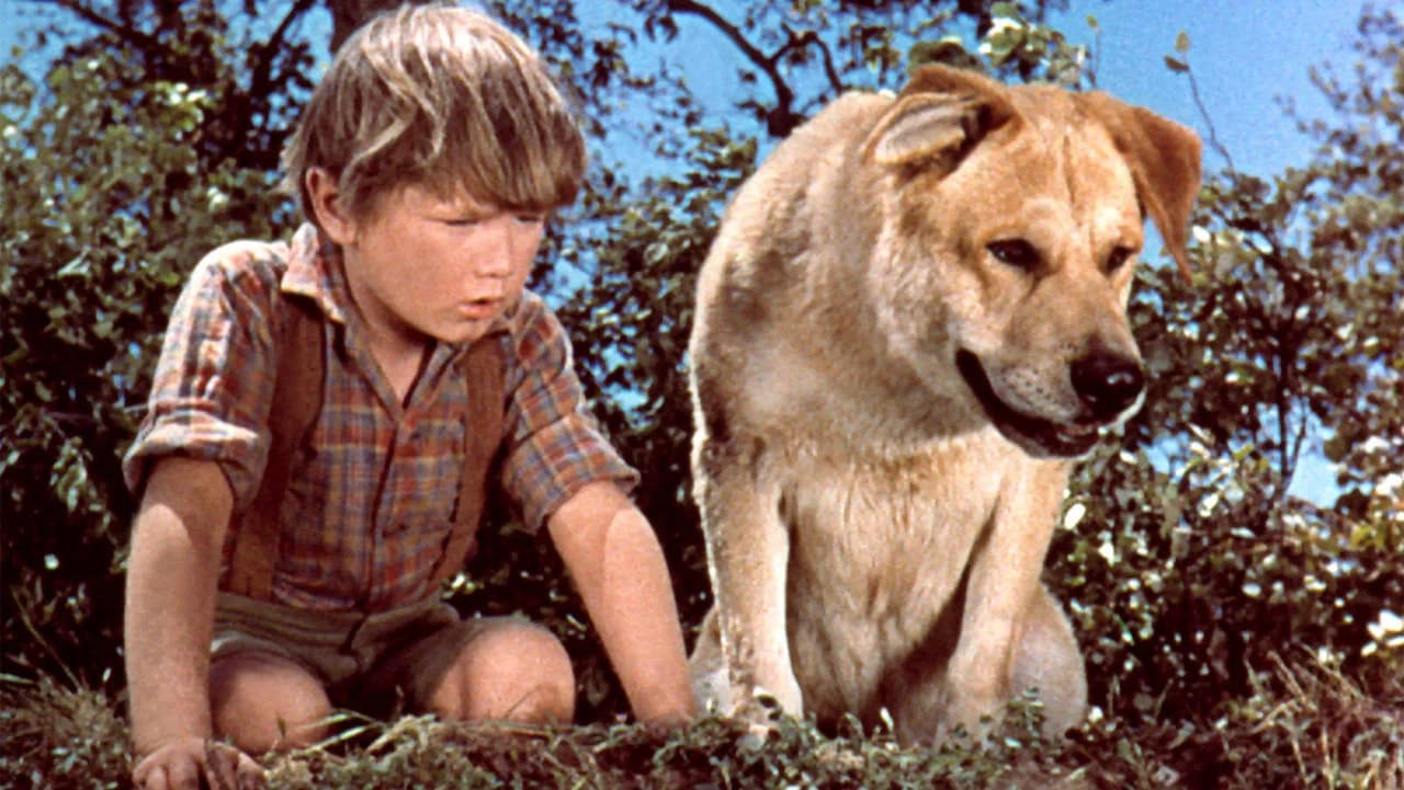 Backdrop phim Old Yeller