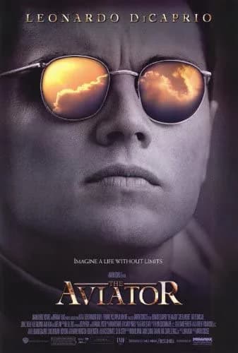 Poster phim Phi Công Tỷ Phú (2004)