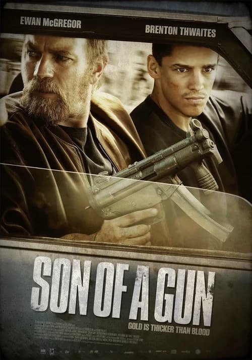 Poster phim Phi Vụ Cướp Ngân Hàng (2014)