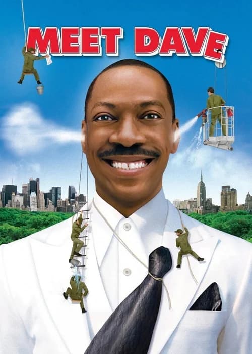 Poster phim Phi Vụ Rắc Rối (2008)