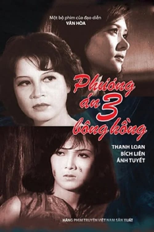 Backdrop phim Phương Án Ba Bông Hồng