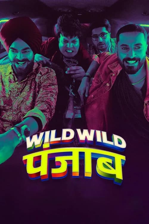 Poster phim Punjab Hoang Dã (2024)