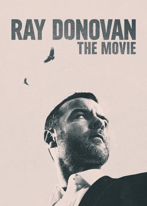 Poster phim Ray Donovan Finale (2022)