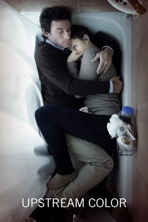 Poster phim Sắc Màu Ngược Dòng (2013)