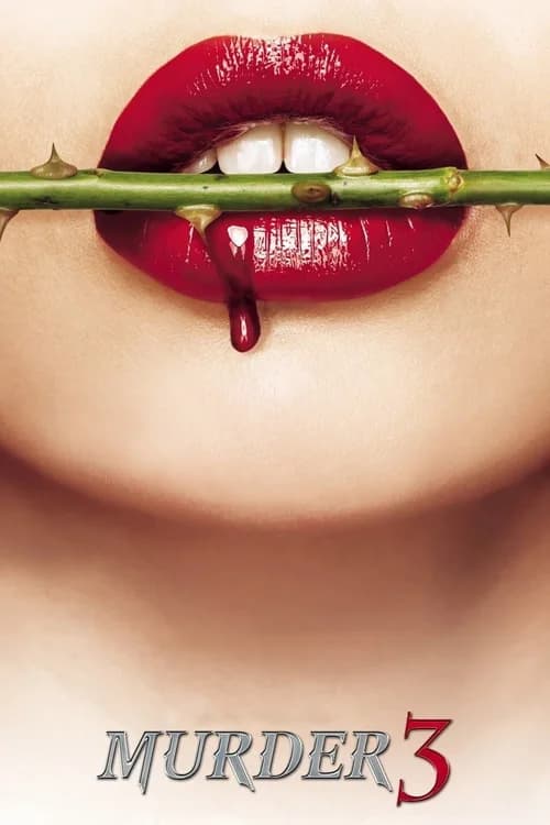 Poster phim Sát Nhân 3 (2013)