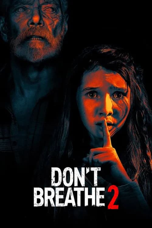 Poster phim Sát Nhân Trong Bóng Tối 2 (2021)