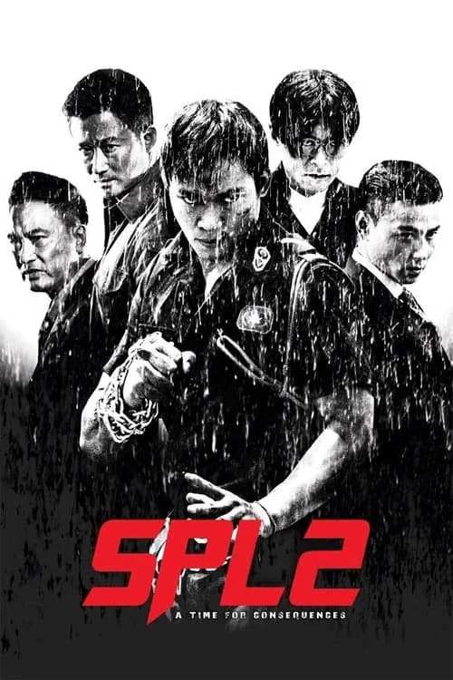 Poster phim Sát Phá Lang 2 (2015)