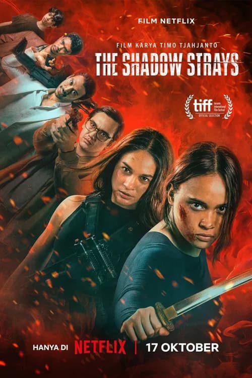 Poster phim Sát Thủ Mật Danh 13 (2024)