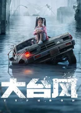 Poster phim Siêu Bão (2020)