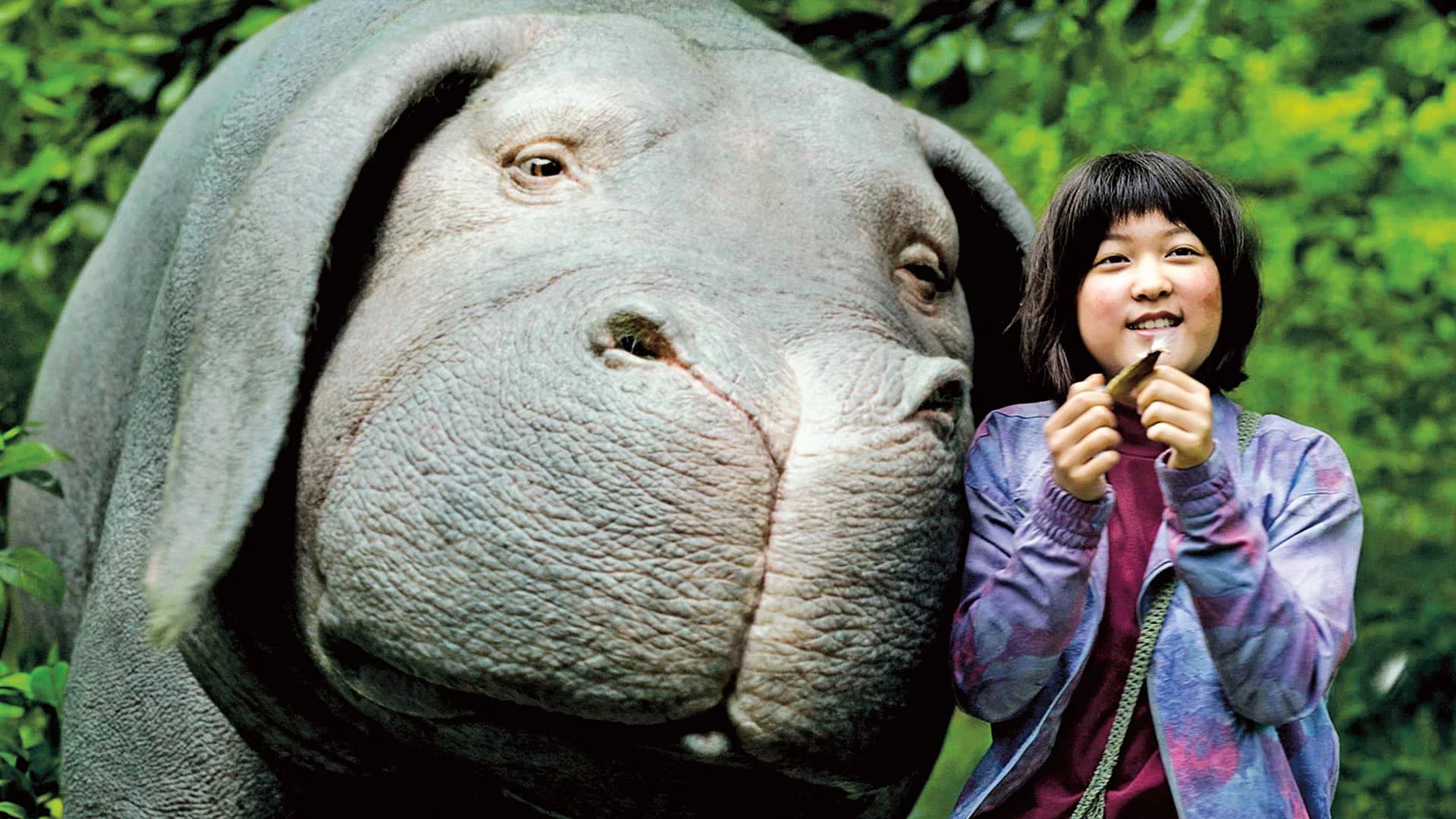 Backdrop phim Siêu lợn Okja