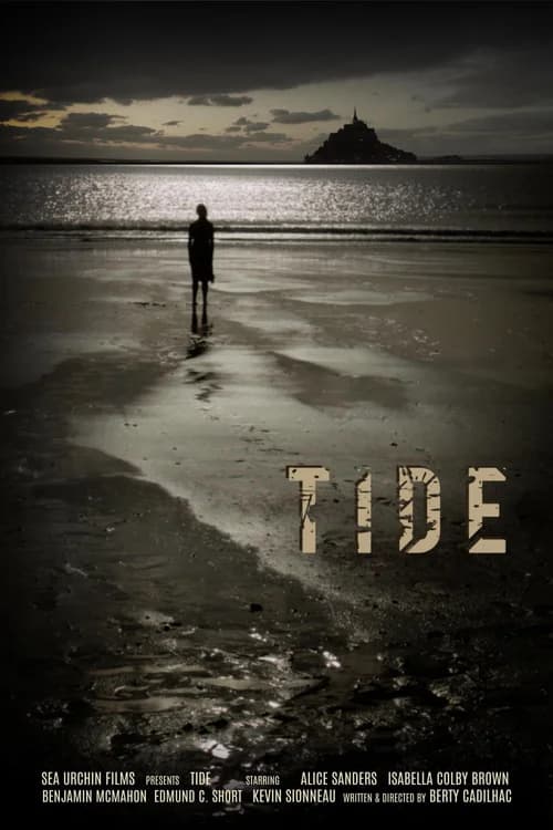 Poster phim Sóng Triều (2024)
