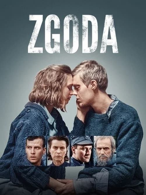 Poster phim Sự hòa giải (2017)