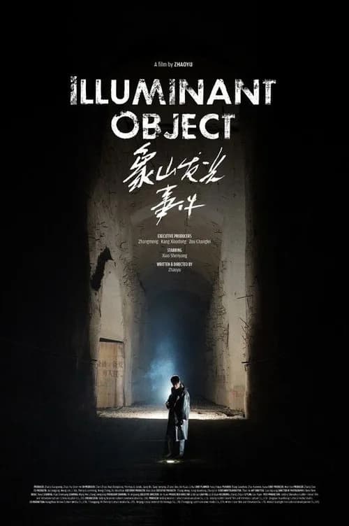 Poster phim Sự Kiện Ánh Sáng Núi Voi (2025)