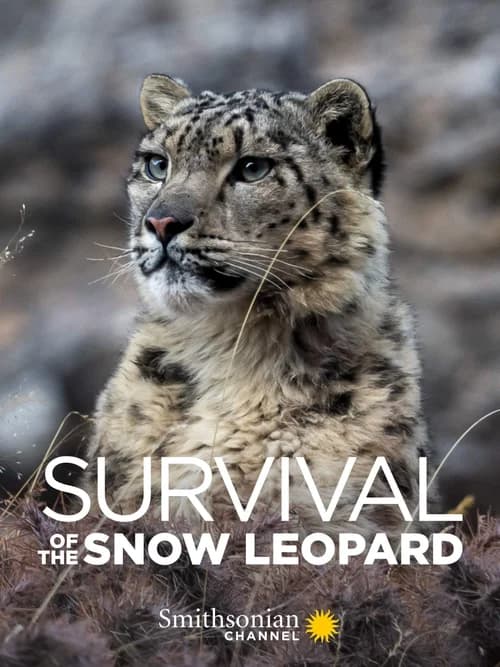 Poster phim Survival Of The Snow Leopard (2020)