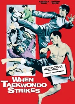 Poster phim Taekwondo  Chấn Cửu Châu (1973)