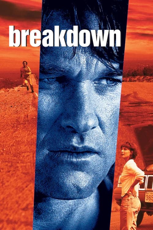 Poster phim Tai Họa Bất Ngờ (1997)
