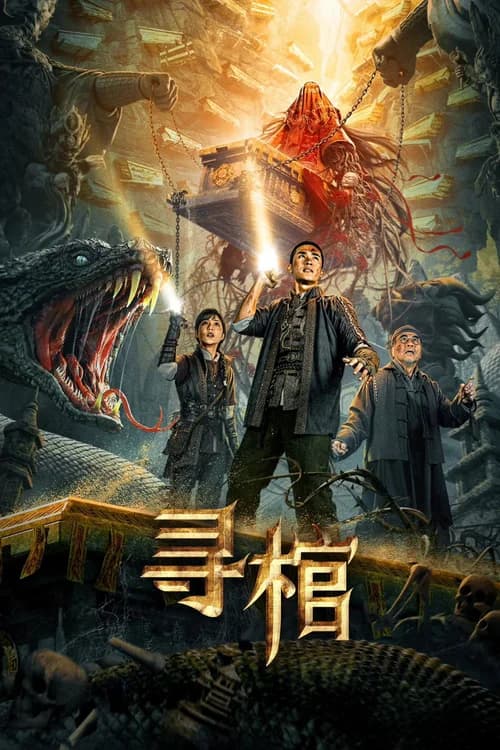 Poster phim Tầm Quan (2025)