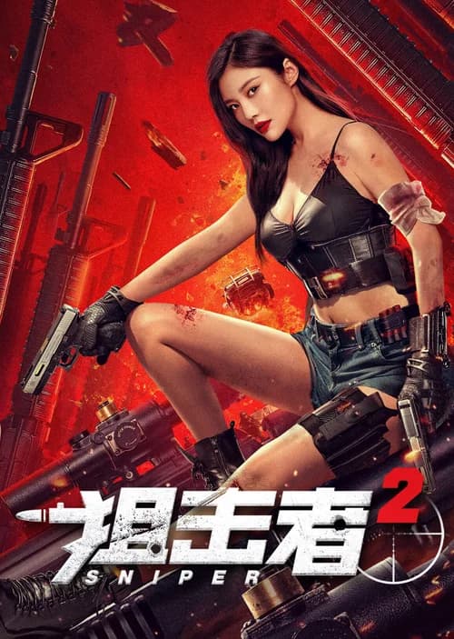 Poster phim Tay Súng Bắn Tỉa 2 (2024)