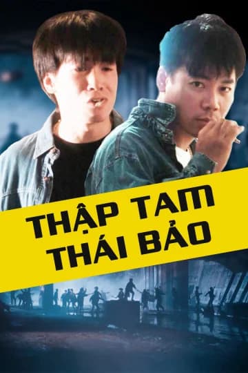 Poster phim Thập Tam Thái Bảo (1995)