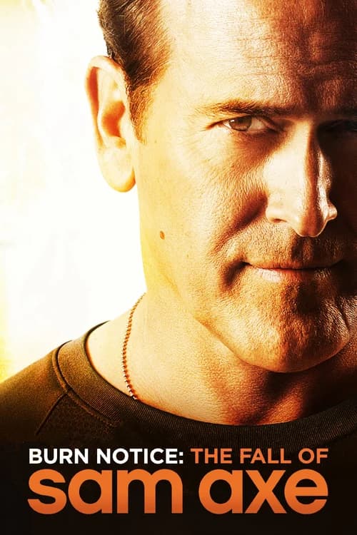 Poster phim Thất Bại Của Sam Axe (2011)