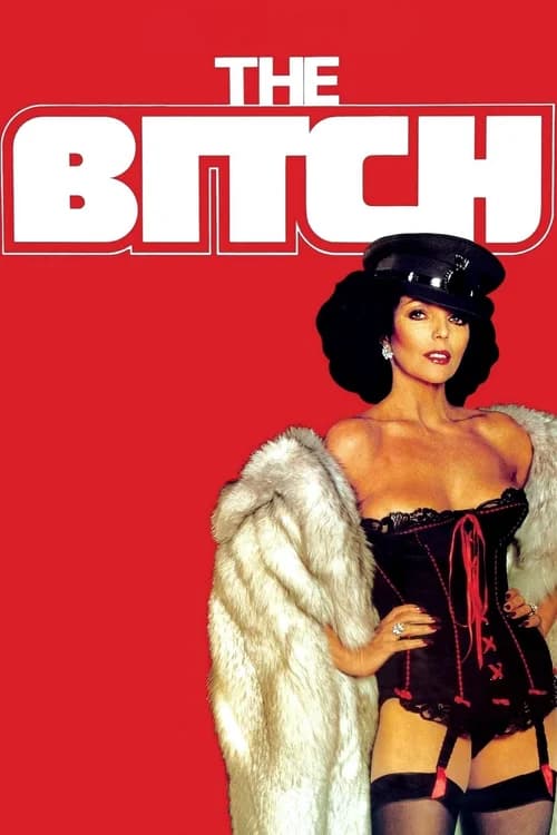 Poster phim The Bitch (1979)