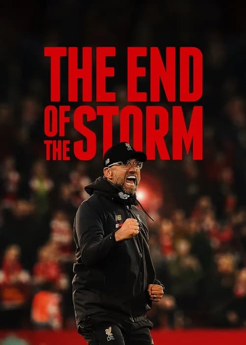 Poster phim The End of the Storm (2020)