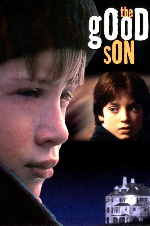 Poster phim The Good Son (1993)
