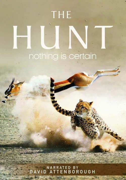 Poster phim The Hunt (2015)