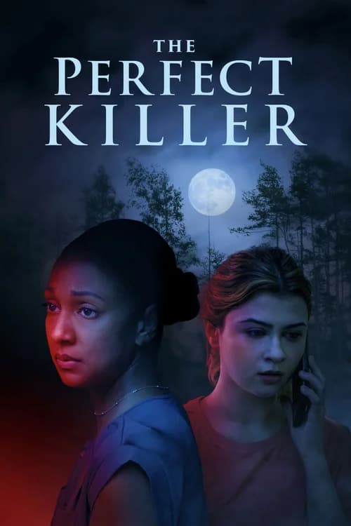 Poster phim The Perfect Killer (2025)