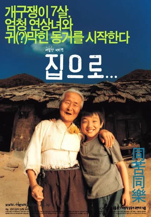 Poster phim The Way Home (2002)
