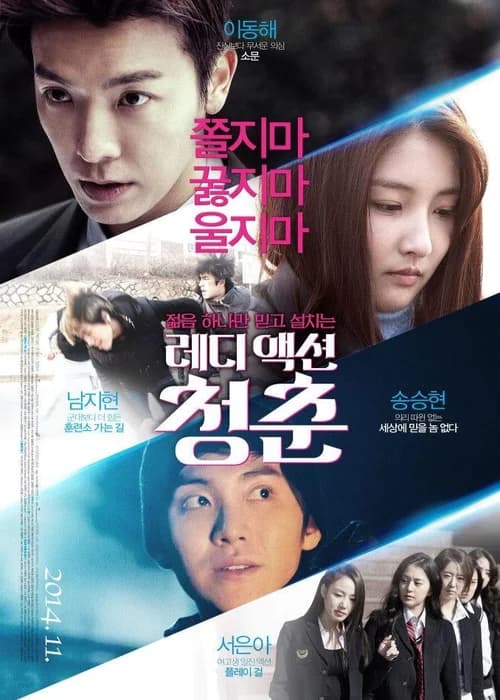 Poster phim The Youth (2014)