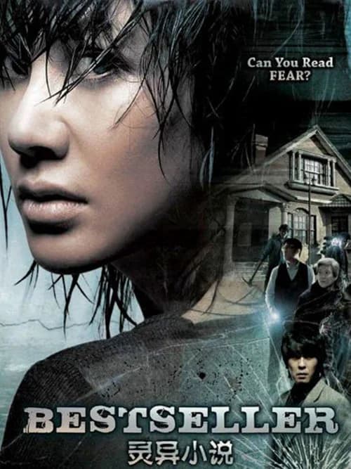 Poster phim Tiểu Thuyết Bí Ẩn (2010)
