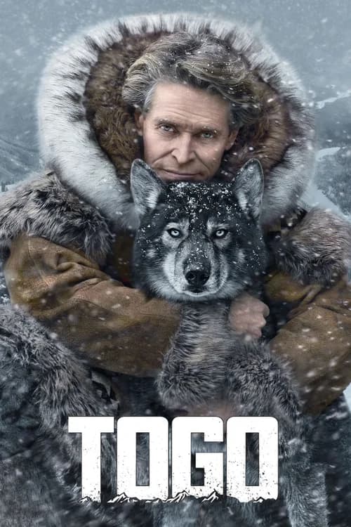 Poster phim Togo (2019)