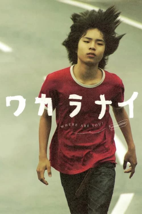 Poster phim Tôi không hiểu (2009)