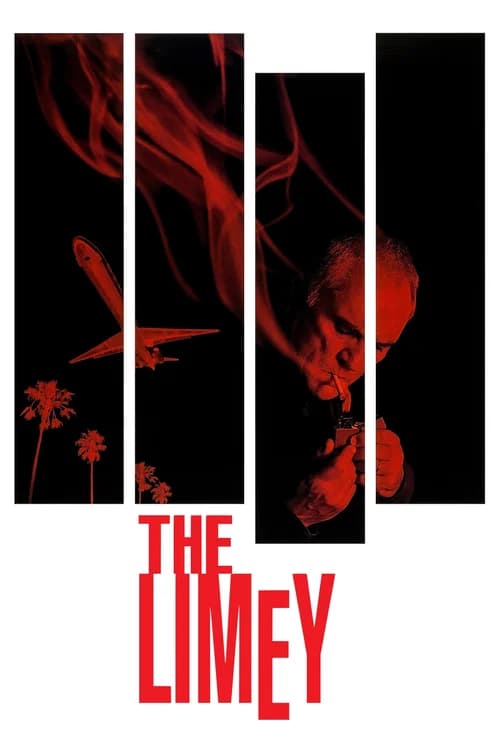 Poster phim Trả Thù Kiểu Anh (1999)