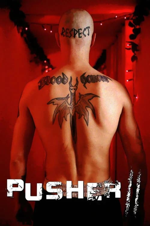 Poster phim Trùm Ma Túy 2