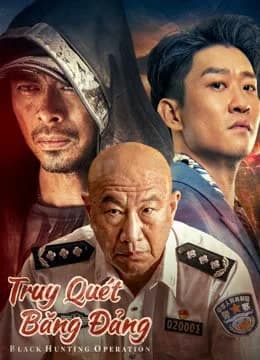 Poster phim Truy Quét Băng Đảng (2023)