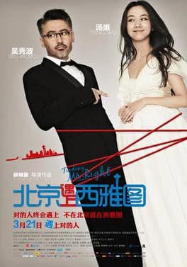 Poster phim Truy tìm người hoàn hảo (2013)
