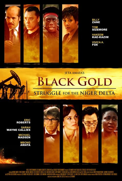 Poster phim Vàng Đen (2011)