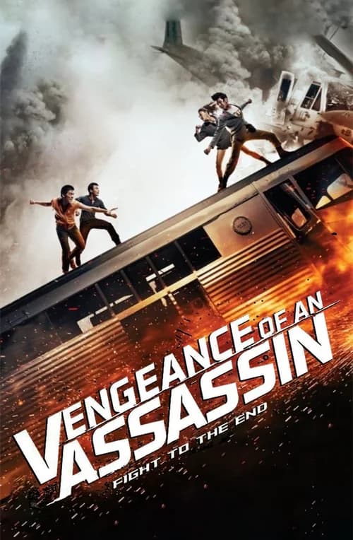 Poster phim Vengeance of an Assassin (2014)